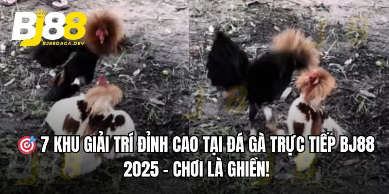 BJ88 🎖️ Link Đá Gà Trực Tiếp BJ88 COM Nghêu Hấp Thái | +100K Free 4 App BJ88 xem đá gà trực tiếp Full HD