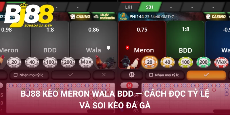 BJ88 kèo Meron Wala BDD - cách đọc tỷ lệ và soi kèo đá gà