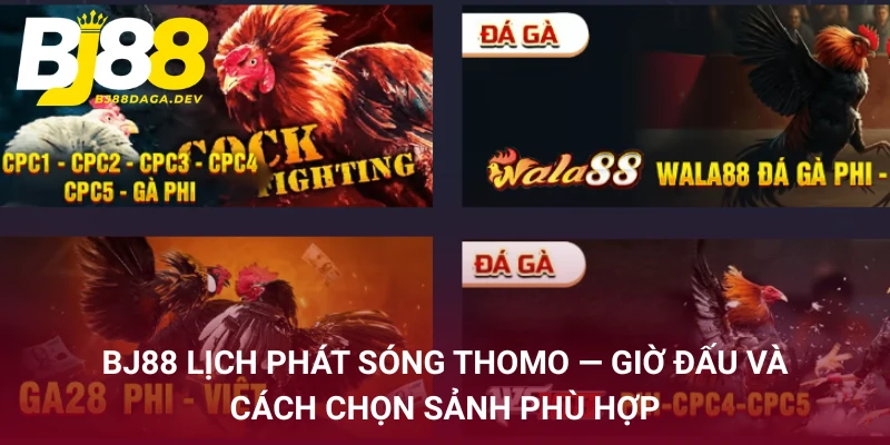 BJ88 lịch phát sóng Thomo - giờ đấu và cách chọn sảnh phù hợp