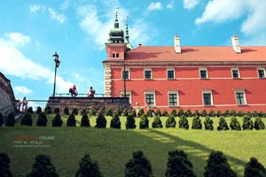 为国征战！波格丹社媒晒出自己身穿塞尔维亚球衣的定妆照，塞尔维亚博格丹诺维奇