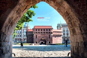 为国征战！波格丹社媒晒出自己身穿塞尔维亚球衣的定妆照，塞尔维亚博格丹诺维奇