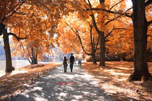 锁定4亿顶薪，哪里都不去！NBA首位8000万先生，你很难再拿总冠军，nba第一位亿元先生