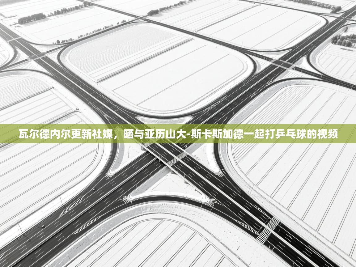 瓦尔德内尔更新社媒,晒与亚历山大-斯卡斯加德一起打乒乓球的视频 第1张