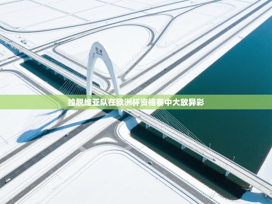 拉脱维亚队在欧洲杯资格赛中大放异彩  第2张