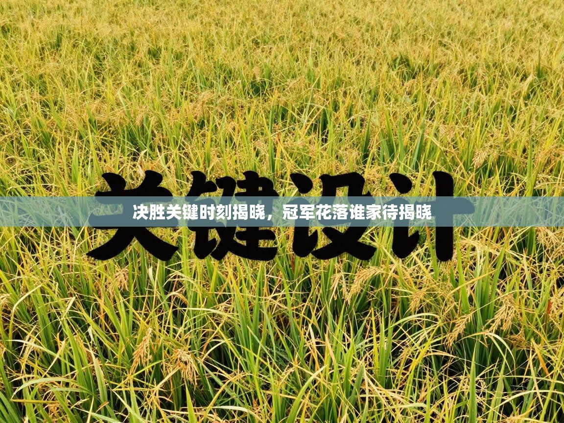 决胜关键时刻揭晓,冠军花落谁家待揭晓 第2张