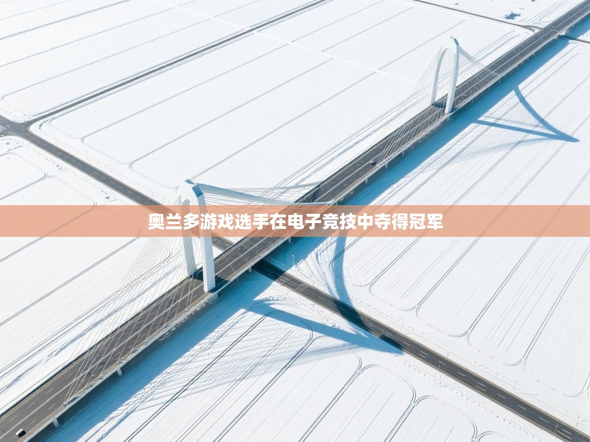 奥兰多游戏选手在电子竞技中夺得冠军  第2张