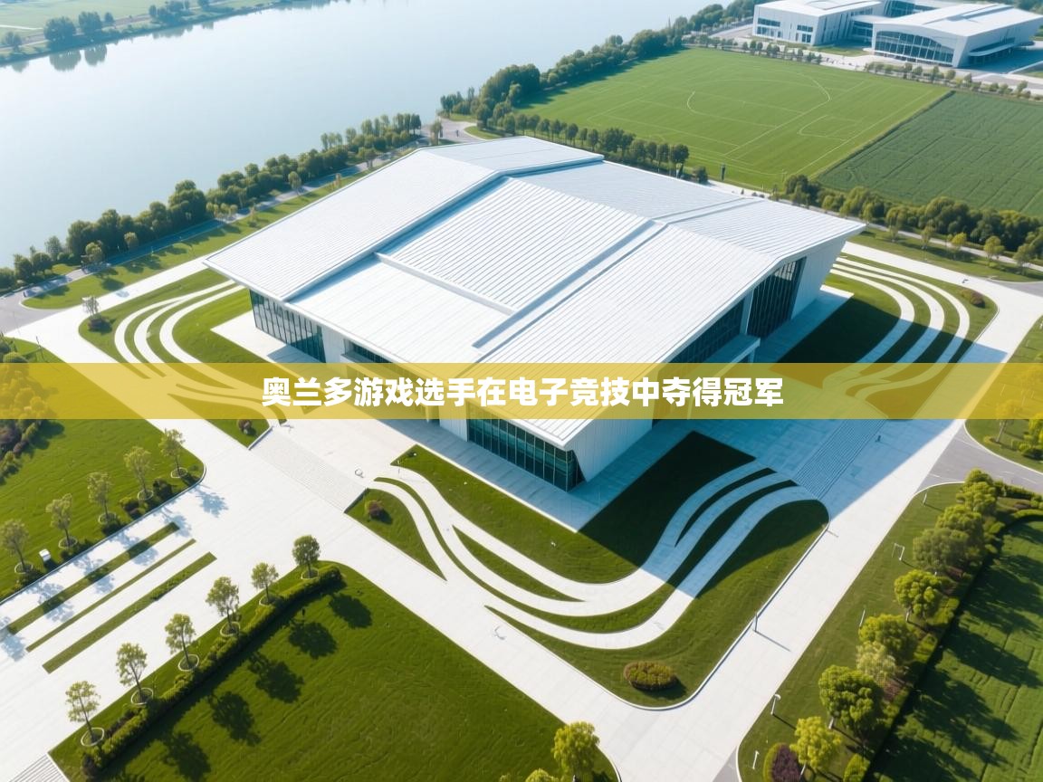 奥兰多游戏选手在电子竞技中夺得冠军  第1张