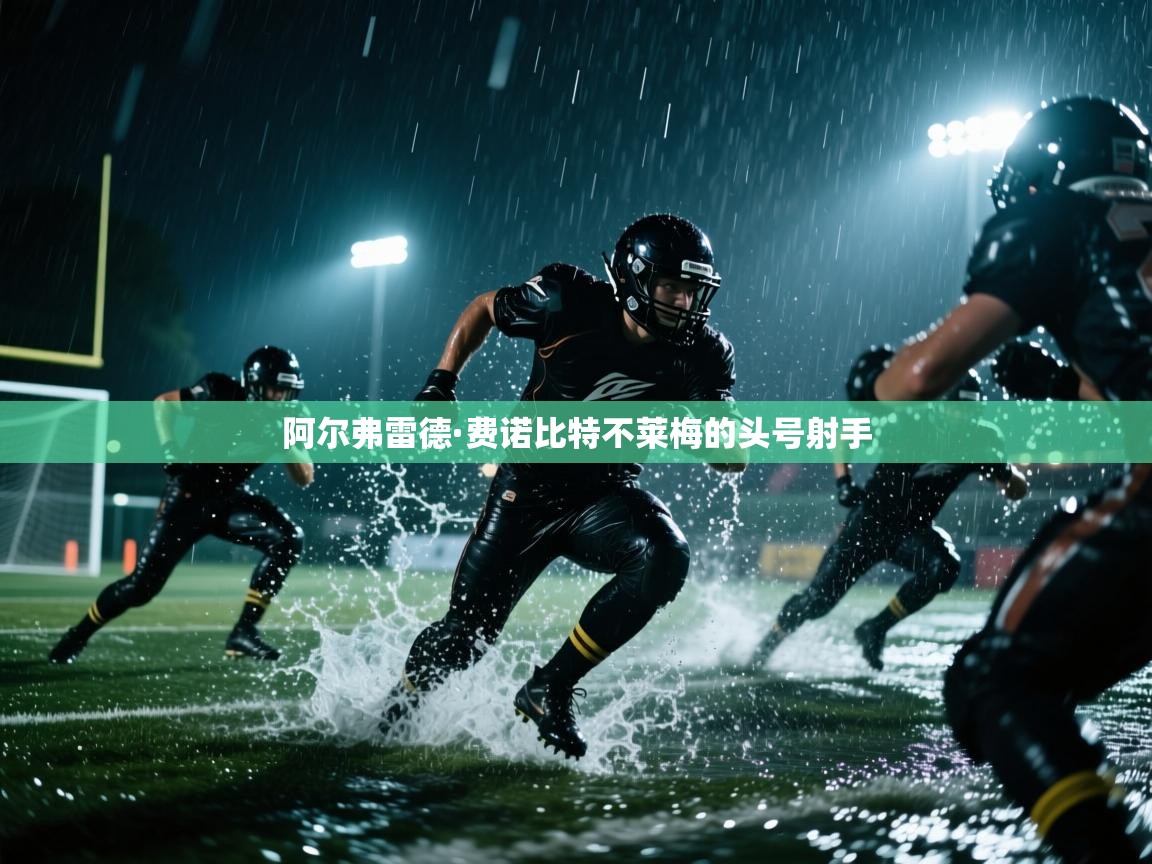 阿尔弗雷德·费诺比特不莱梅的头号射手  第1张