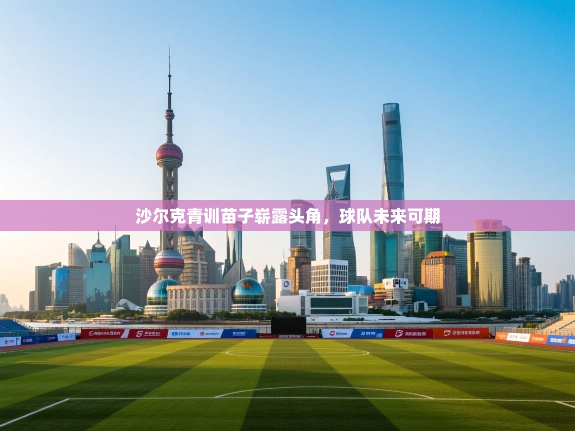 沙尔克青训苗子崭露头角,球队未来可期 第1张